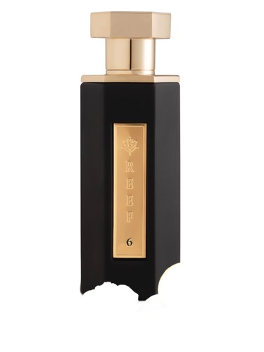 عطر ادکلن رییف صفر شش ریو پرفیومز - Reef 06 Reef Perfumes - بررسی، قیمت و خرید