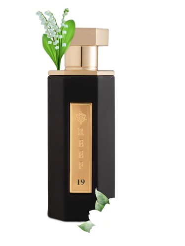 عطر ادکلن ریف نوزده ریف پرفیومز - Reef 19 Reef Perfumes - بررسی، قیمت و خرید