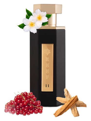 عطر ادکلن ری ف یازده ریف پرفیومز - Reef 11 Reef Perfumes - بررسی، قیمت و خرید