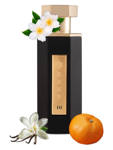 عطر ادکلن ریف تن ریف پرفیومز - Reef 10 Reef Perfumes - بررسی، قیمت و خرید