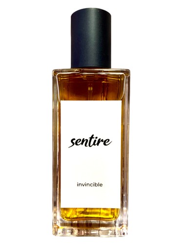 عطر ادکلن اینوسیبِل سنتیره - Invincible Sentire - بررسی، قیمت و خرید