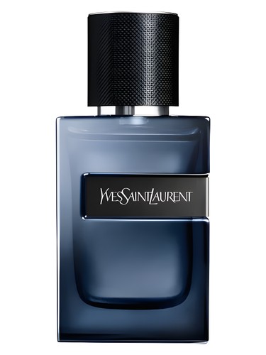 عطر ادکلن وای الیکسیر ایو سن لوران - Y Elixir Yves Saint Laurent - بررسی، قیمت و خرید