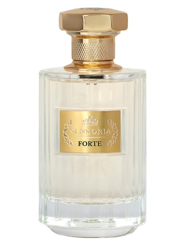 عطر ادکلن فورته سنسوریا - Forte Sensoria - بررسی، قیمت و خرید