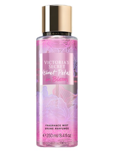 عطر ادکلن ولوت پتالز این بلوم ویکتوریا سیکرت - Velvet Petals in Bloom Victoria's Secret - بررسی، قیمت و خرید