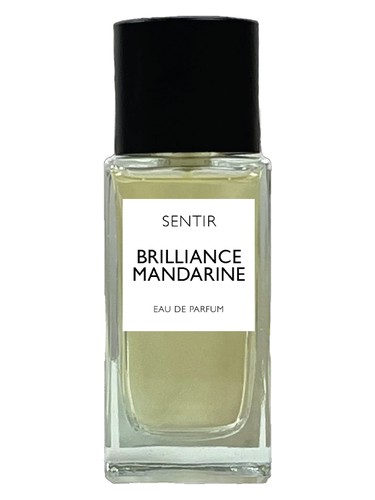 عطر ادکلن بریلیانس ماندارین سِنتیر - Brilliance Mandarine Sentir - بررسی، قیمت و خرید