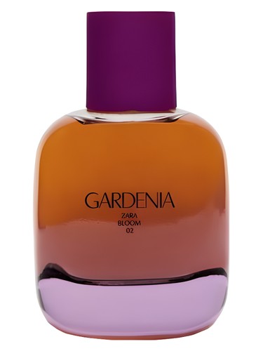عطر ادکلن گاردنیا او دو پرفیوم زارا - Gardenia Eau de Parfum Zara - بررسی، قیمت و خرید