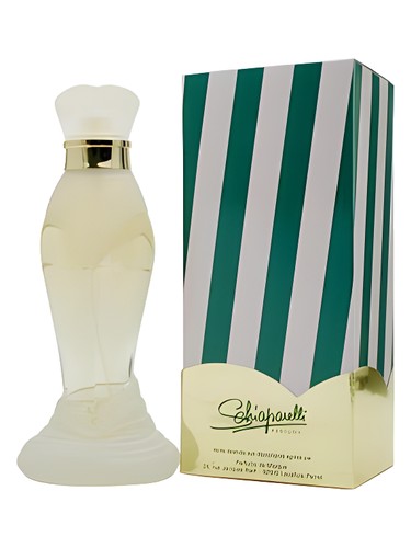 عطر ادکلن زوت اسکیپارلی - Zut Schiaparelli - بررسی، قیمت و خرید