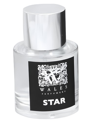 عطر ادکلن اِستار ویلز پرفیومری - Star - Seren Wales Perfumery - بررسی، قیمت و خرید