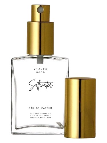 عطر ادکلن سالت واتر ویکد گود - Saltwater Wicked Good - بررسی، قیمت و خرید