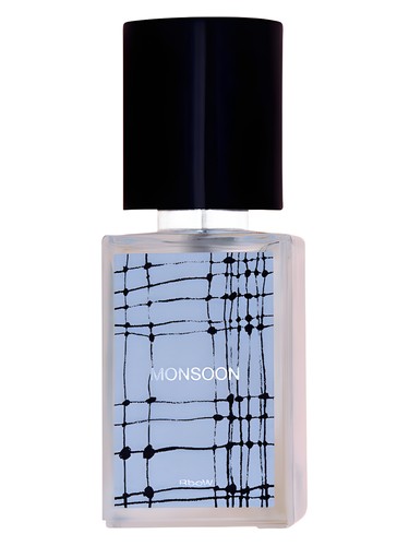 عطر ادکلن کیس استادی ۱۱ مانسون آربو - Case Study #11 Monsoon RboW - بررسی، قیمت و خرید