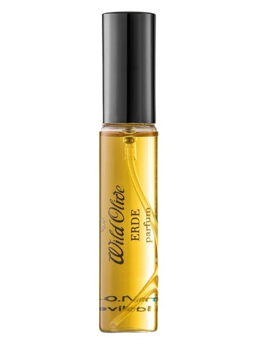 عطر ادکلن اِرده وایلد آلیو آرتیزانز - Erde Wild Olive Artisans - بررسی، قیمت و خرید