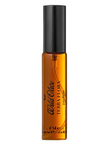 عطر ادکلن ترا فلورا وایلد اولیو آرتیزانز - Terra Flora Wild Olive Artisans - بررسی، قیمت و خرید