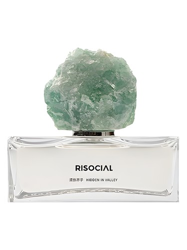 عطر ادکلن هیدن این ولی ریسوشیال زاینن زاژ - Hidden In Valley 须弥芥子 Risocial 在野南杂 - بررسی، قیمت و خرید