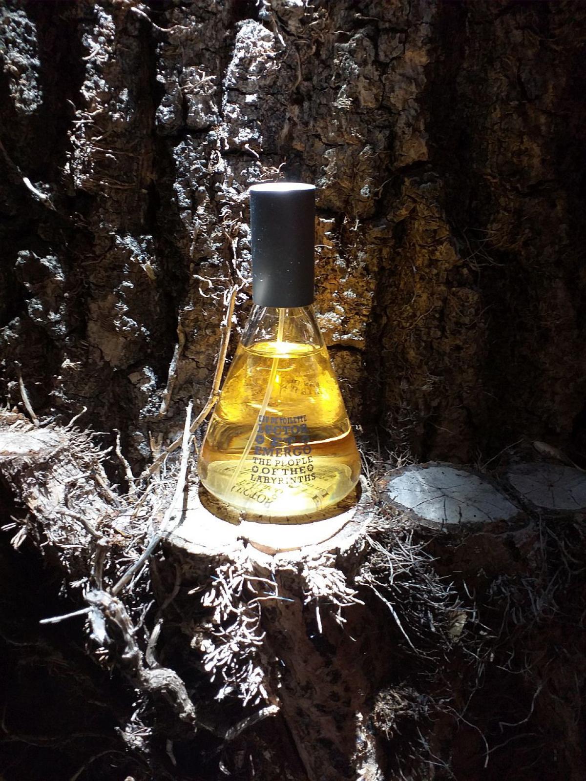 عطر ادکلن لوکتور ات امرگو د پیپل آو د لابرینثز - Luctor et Emergo Eau de Toilette The People Of The Labyrinths - بررسی، قیمت و خرید