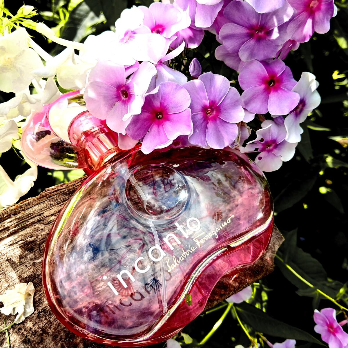 عطر ادکلن اینکانتو بلوم سالواتوره فراگامو - Incanto Bloom (2014) Salvatore Ferragamo - بررسی، قیمت و خرید