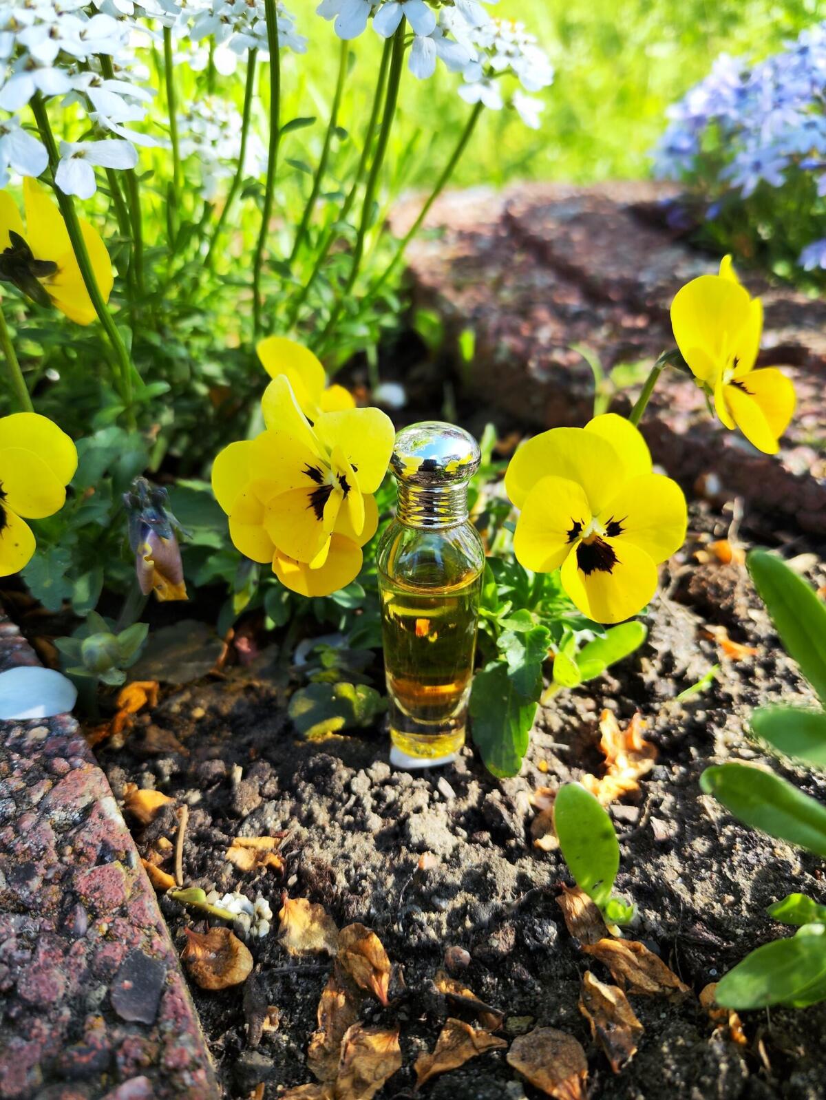 عطر ادکلن لو لورا اشلی - L'Eau Laura Ashley - بررسی، قیمت و خرید