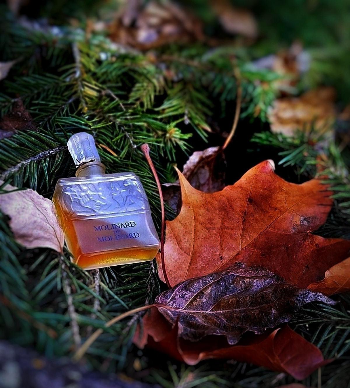 عطر ادکلن مولینارد دو مولینارد مولینارد - Molinard de Molinard Molinard - بررسی، قیمت و خرید