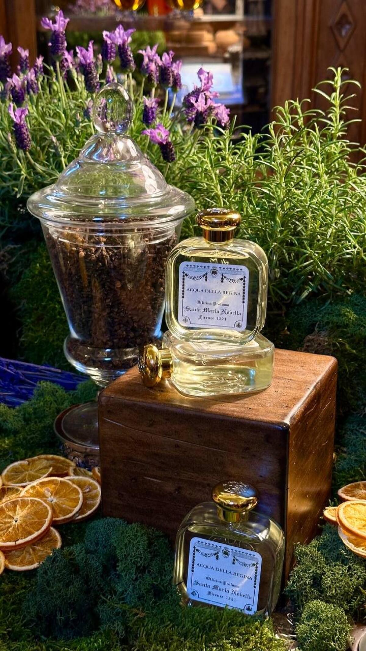 عطر ادکلن آکوا دلا رجینا سانتا ماریا نوولا - Acqua Della Regina Santa Maria Novella - بررسی، قیمت و خرید