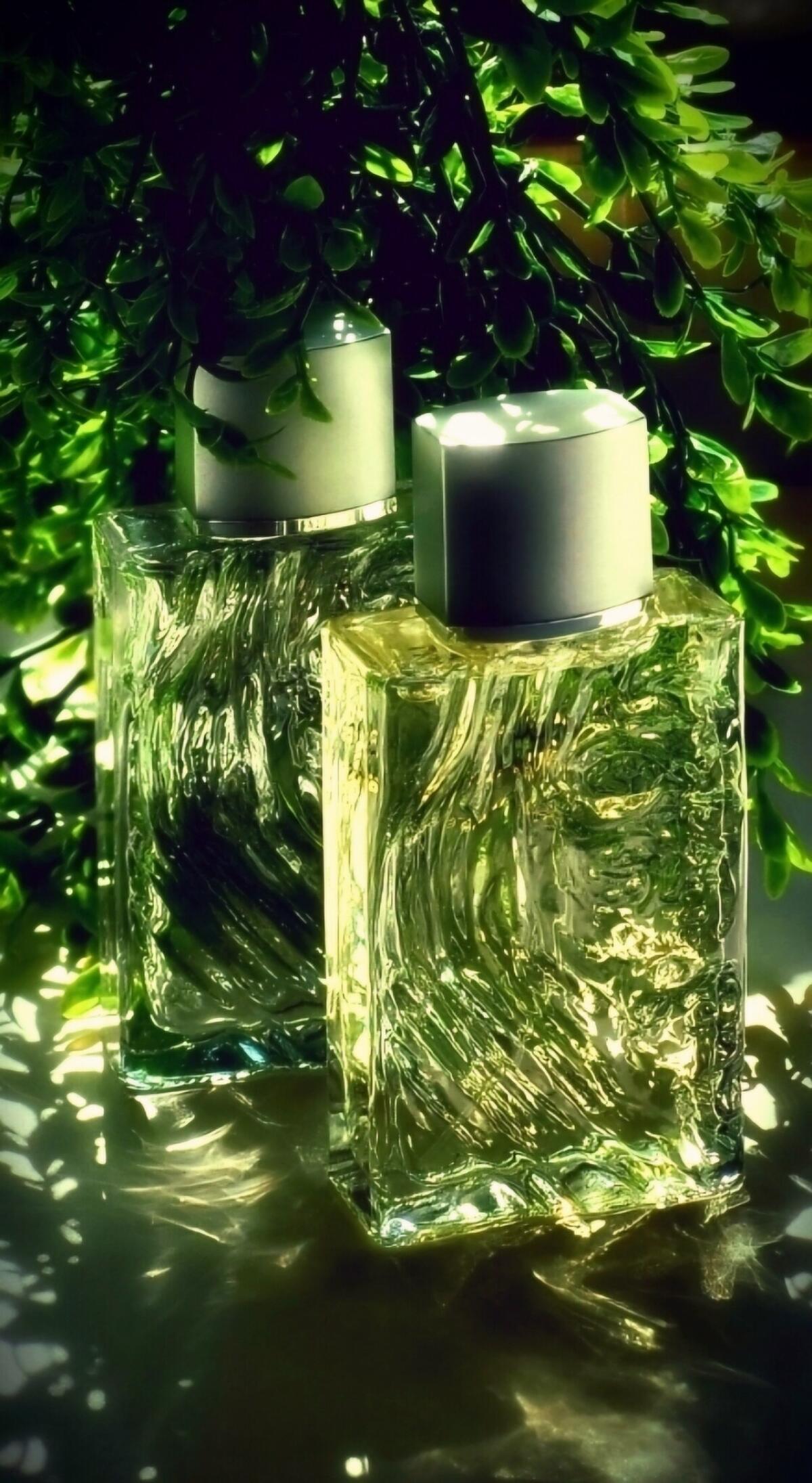 عطر ادکلن اُ دو رُشاس اُم روچاس - Eau de Rochas Homme Rochas - بررسی، قیمت و خرید