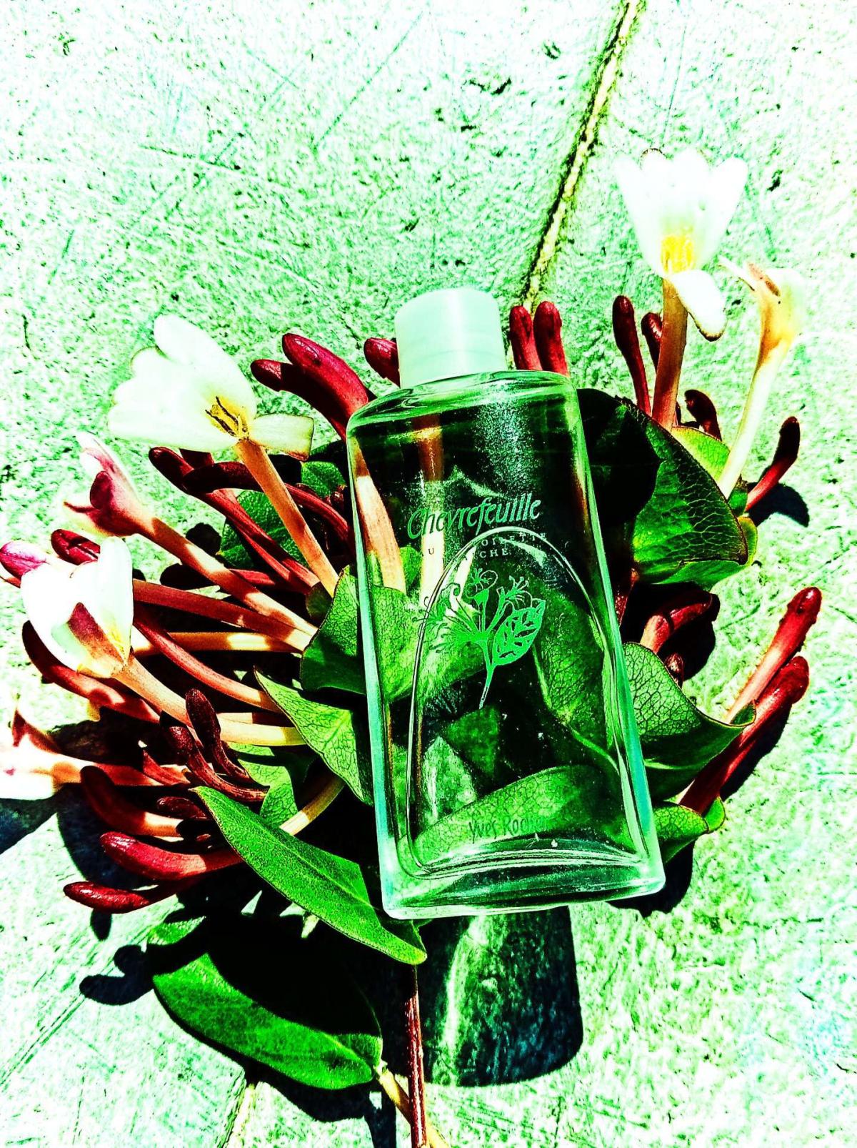 عطر ادکلن شوِرفویل ایوز روشه - Chevrefeuille Yves Rocher - بررسی، قیمت و خرید