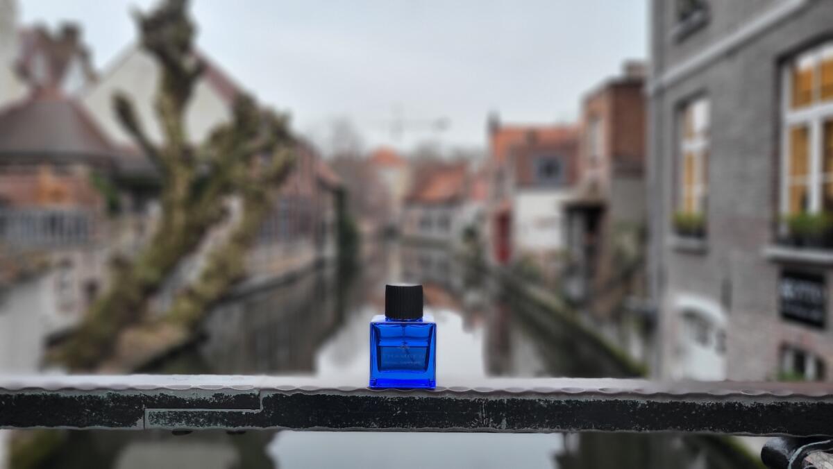 عطر ادکلن رویال سافایر ثَمیِن - Royal Sapphire Thameen - بررسی، قیمت و خرید