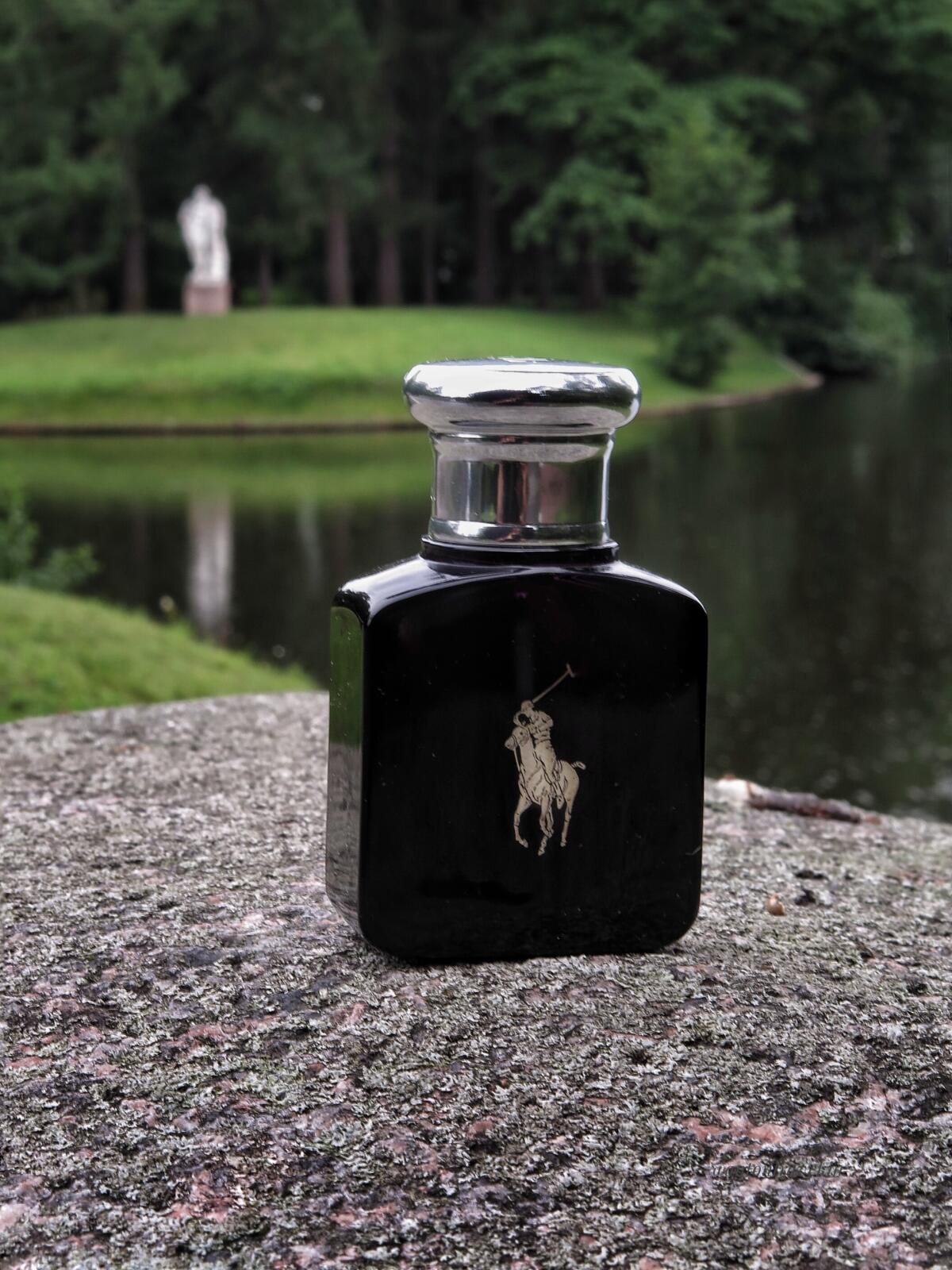 عطر ادکلن پولو بلک رالف لورن - Polo Black Ralph Lauren - بررسی، قیمت و خرید