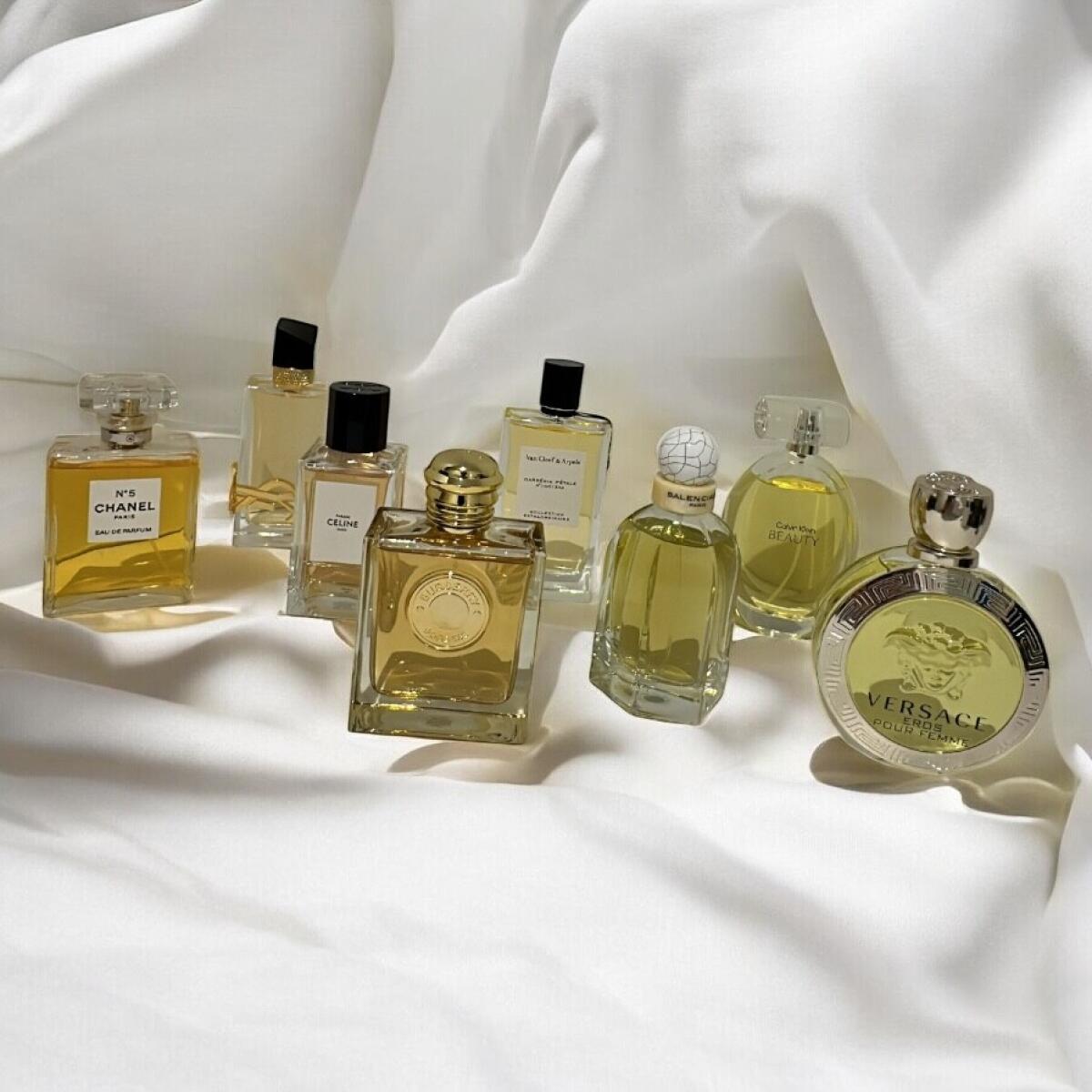 عطر ادکلن لیبره ایو سن لوران - Libre Yves Saint Laurent - بررسی، قیمت و خرید