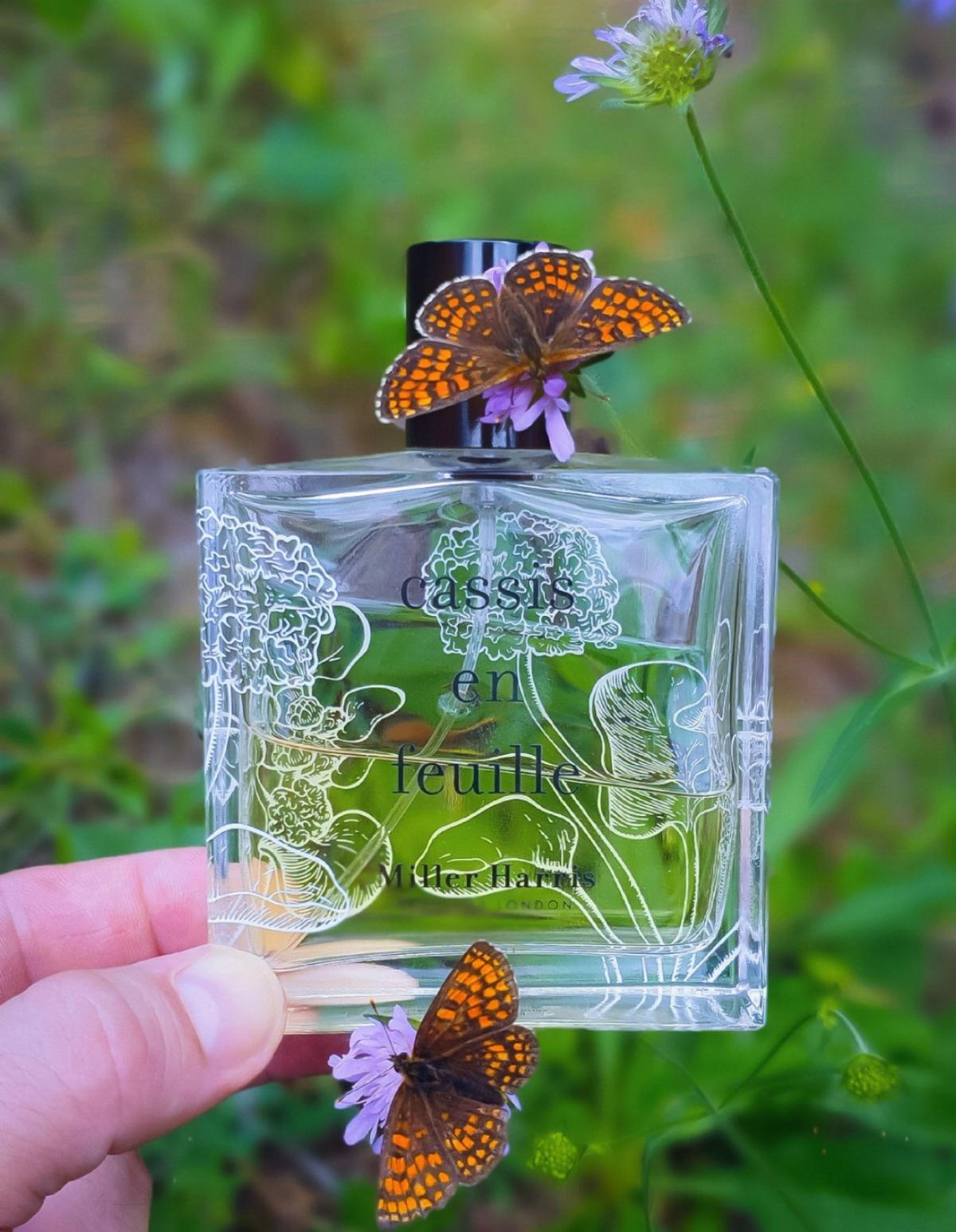 عطر ادکلن کاسیس آن فوی میلر هریس - Cassis en Feuille Miller Harris - بررسی، قیمت و خرید