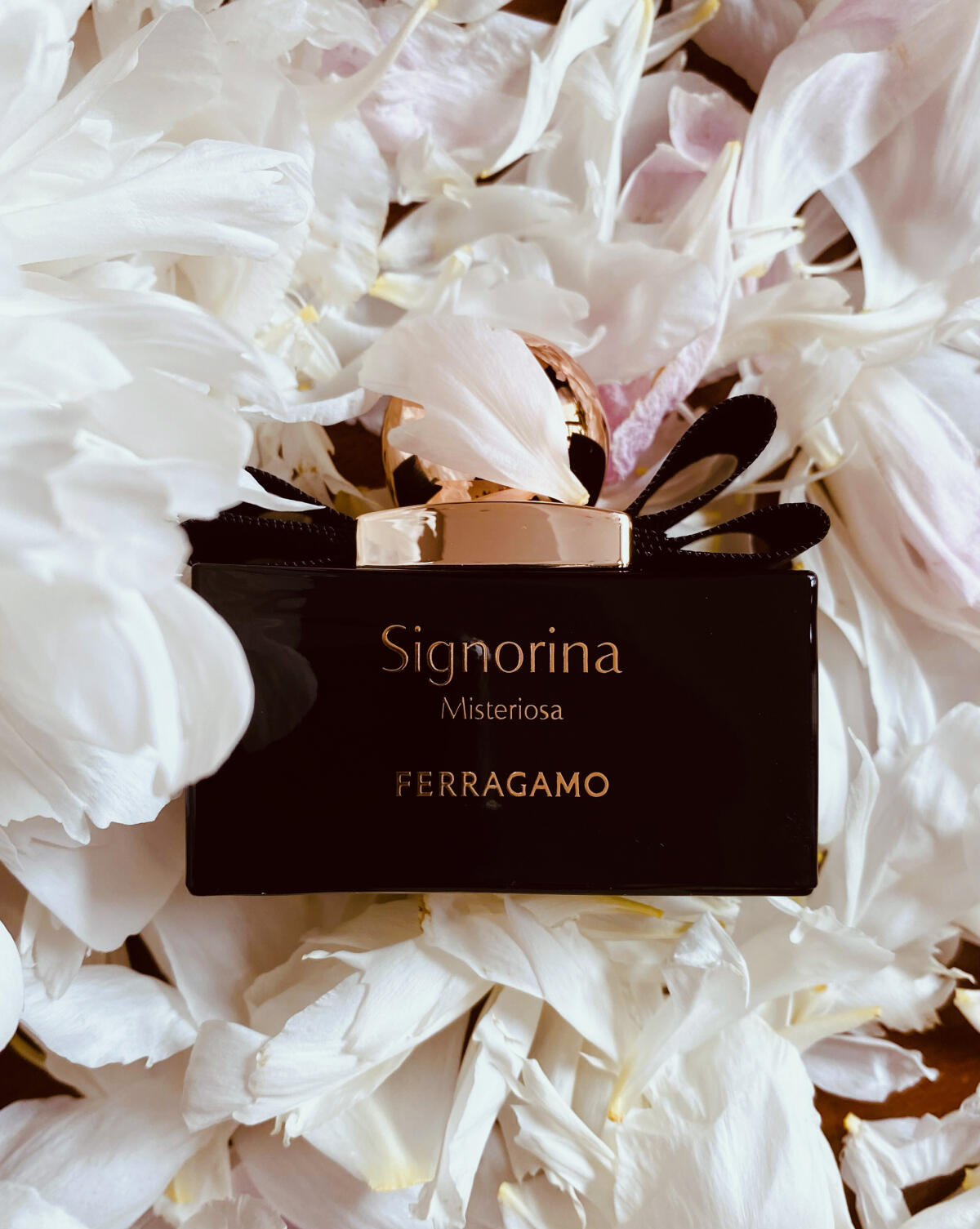 عطر ادکلن سینیورینا مستریوسا سالواتوره فراگامو - Signorina Misteriosa Salvatore Ferragamo - بررسی، قیمت و خرید