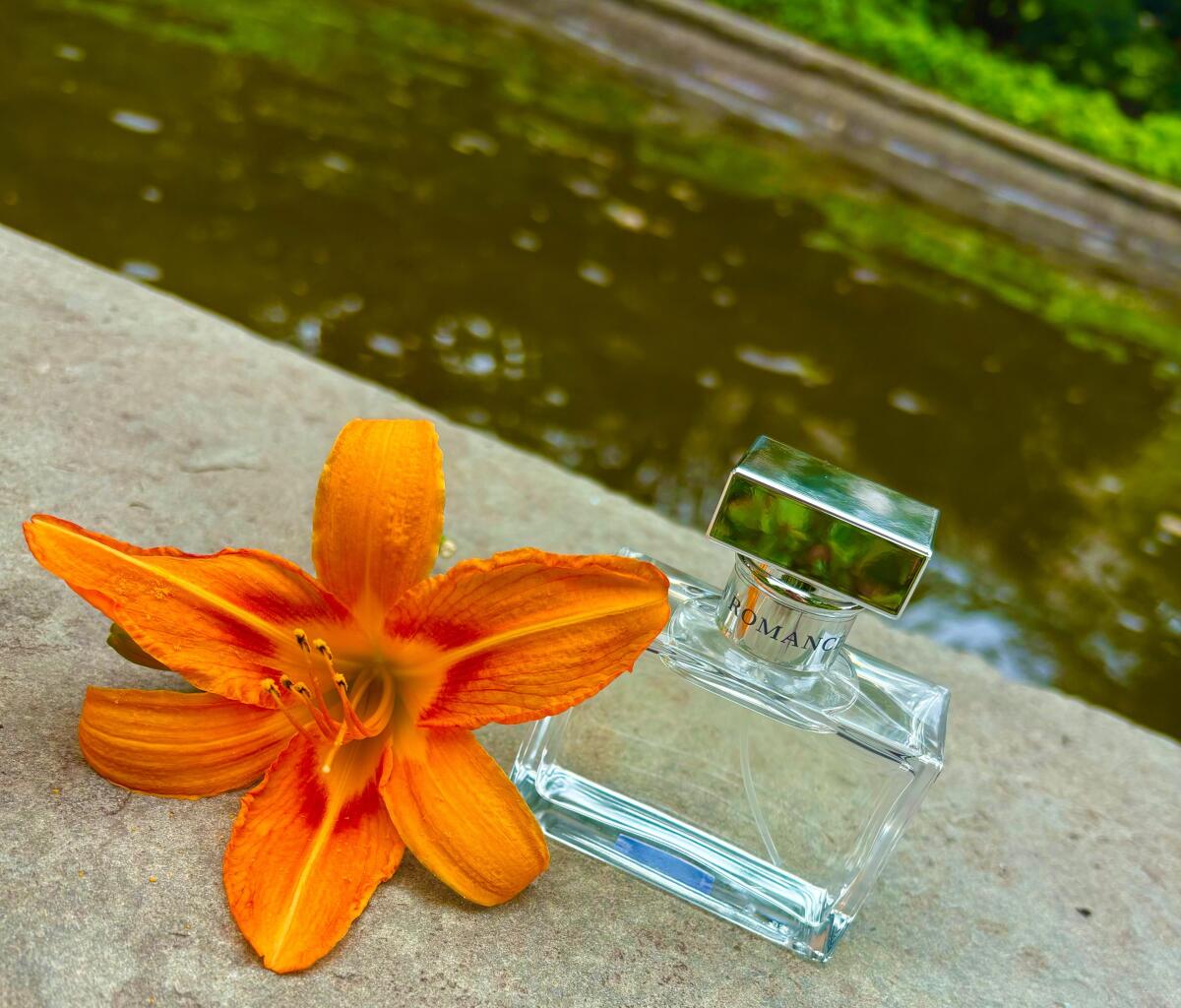 عطر ادکلن رومنس رالف لورن - Romance Ralph Lauren - بررسی، قیمت و خرید