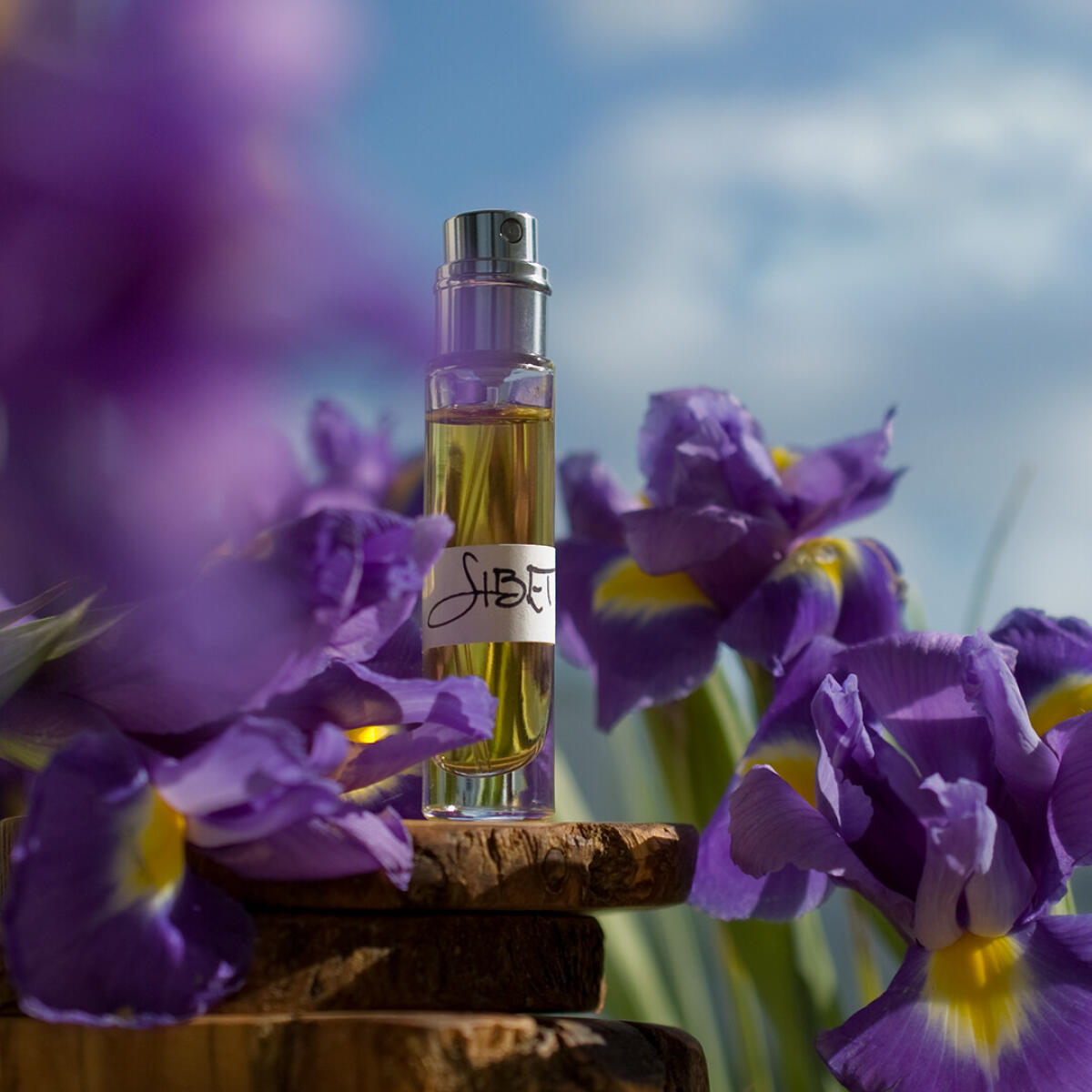 عطر ادکلن سیبت اسلمبرهاوس - Sibet Slumberhouse - بررسی، قیمت و خرید