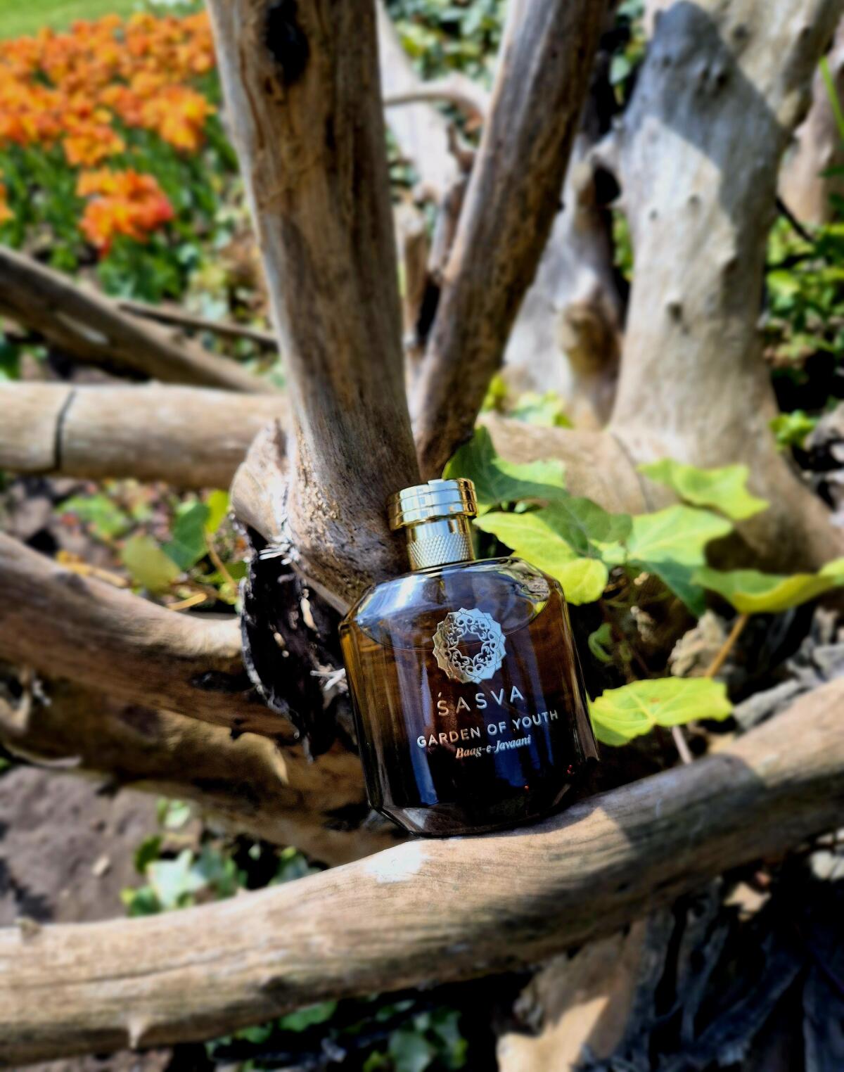 عطر ادکلن باغ جوانی ساسوا - Garden Of Youth Baag-e-Javaani Sasva - بررسی، قیمت و خرید