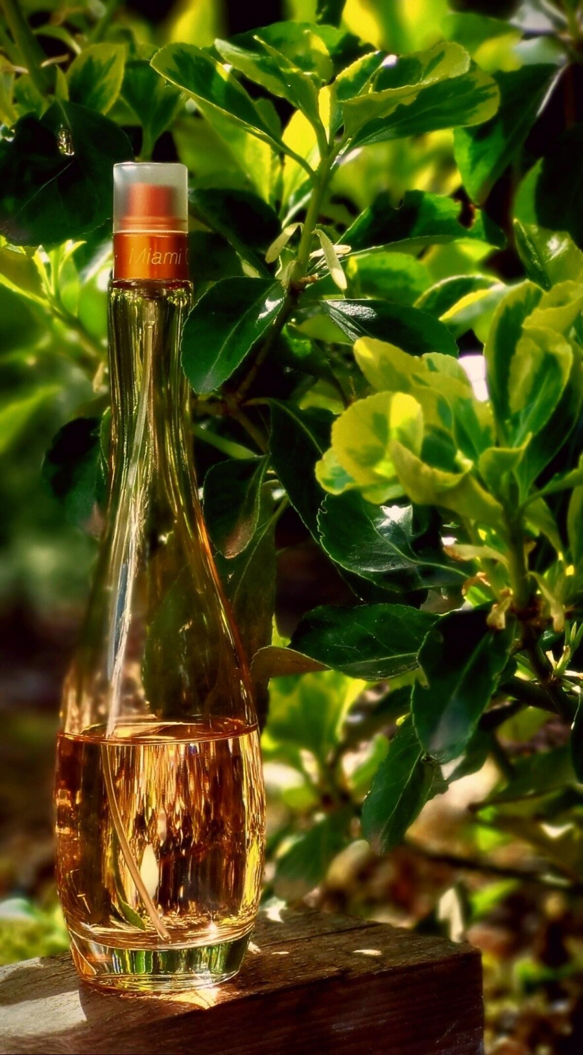 عطر ادکلن میامی گلو جنیفر لوپز - Miami Glow Jennifer Lopez - بررسی، قیمت و خرید