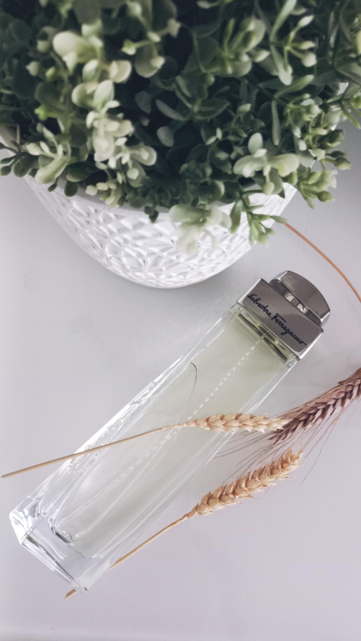 عطر ادکلن سالواتوره فراگامو پور فم سالواتوره فراگامو - Salvatore Ferragamo pour Femme Salvatore Ferragamo - بررسی، قیمت و خرید