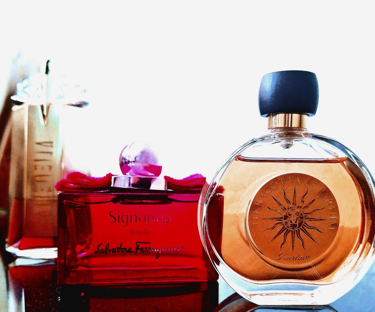 عطر ادکلن سینیورینا ریبله سالواتوره فراگامو - Signorina Ribelle Salvatore Ferragamo - بررسی، قیمت و خرید