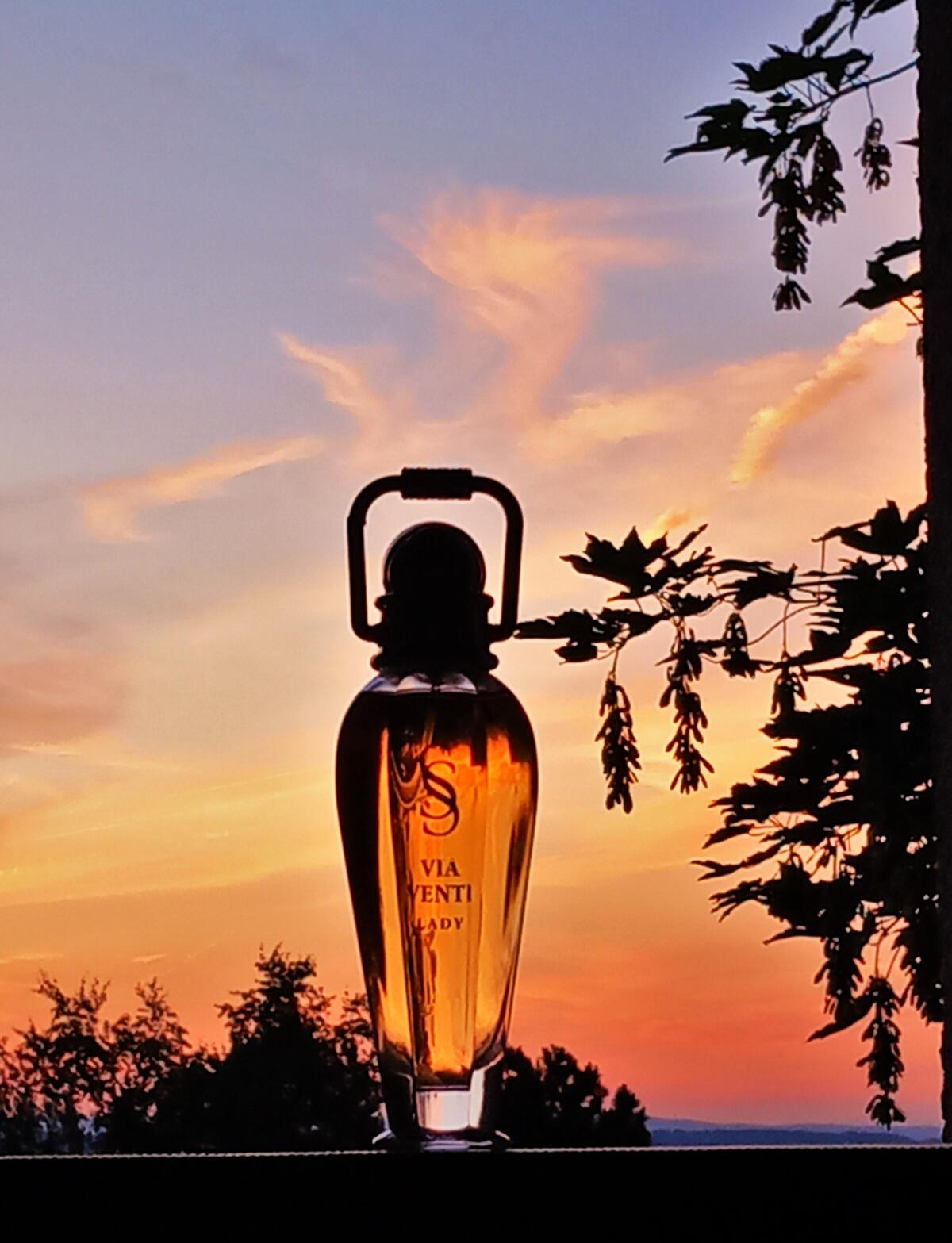 عطر ادکلن ویا ونتی سرجیو سولدانو - Via Venti Sergio Soldano - بررسی، قیمت و خرید