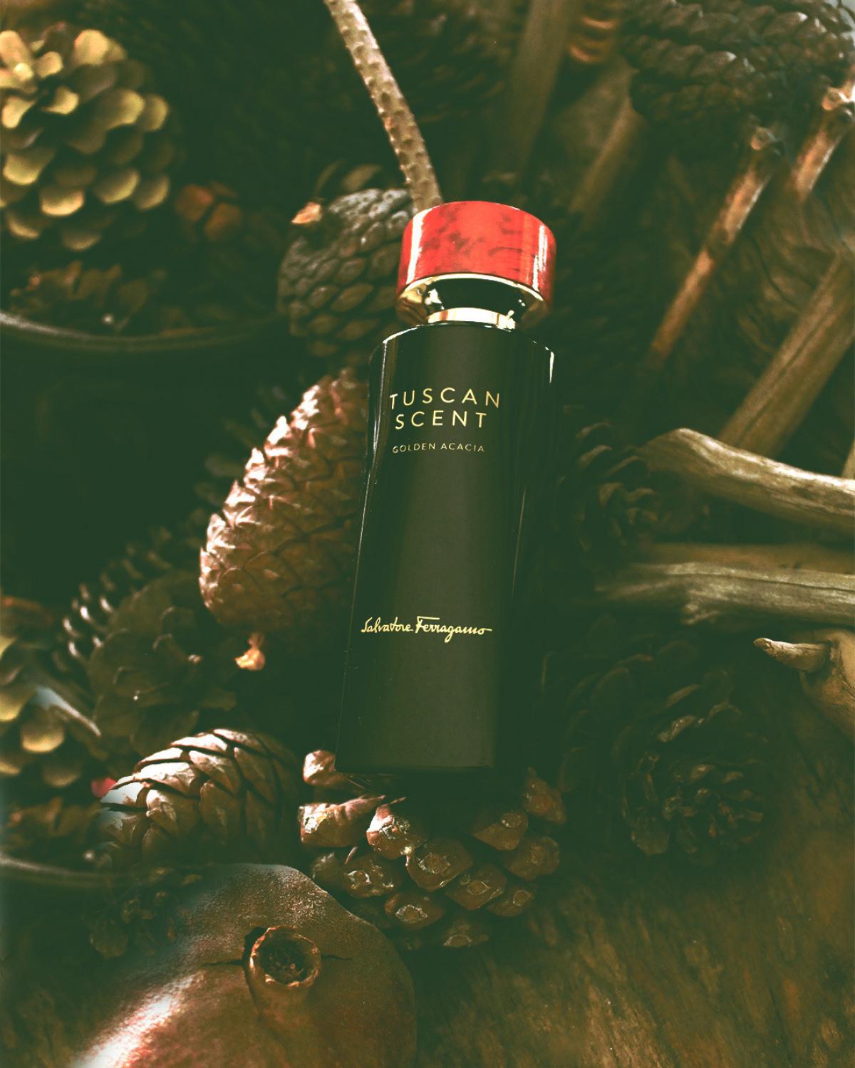 عطر ادکلن گلدن آکیشیا سالواتوره فراگامو - Golden Acacia Salvatore Ferragamo - بررسی، قیمت و خرید