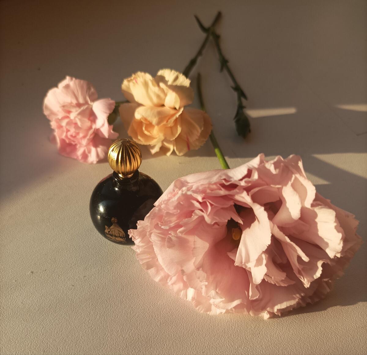 عطر ادکلن آرپژ لنوین - Arpège Lanvin - بررسی، قیمت و خرید