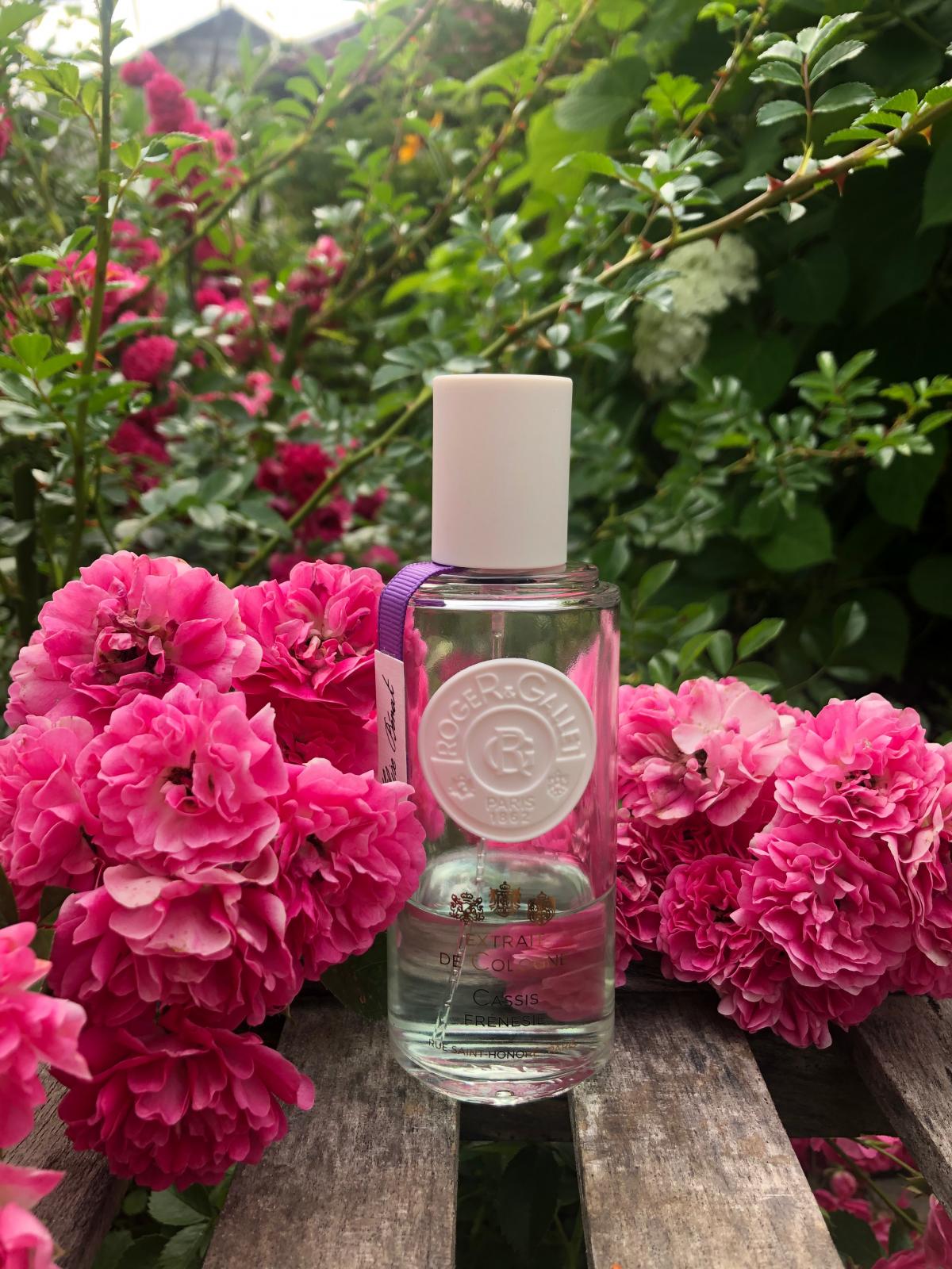 عطر ادکلن کاسیس فرنزی راجر اند گالت - Cassis Frénésie Roger & Gallet - بررسی، قیمت و خرید