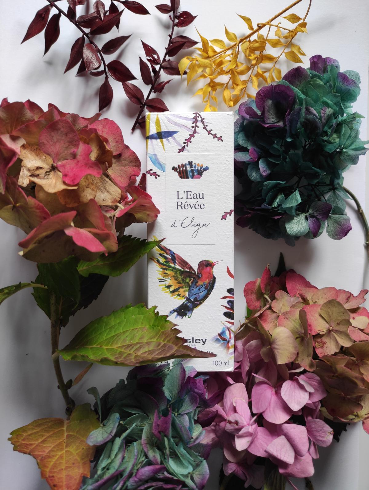 عطر ادکلن لئو رَوه دِ الیا سیسلی - L'Eau Rêvée D'Eliya Sisley - بررسی، قیمت و خرید