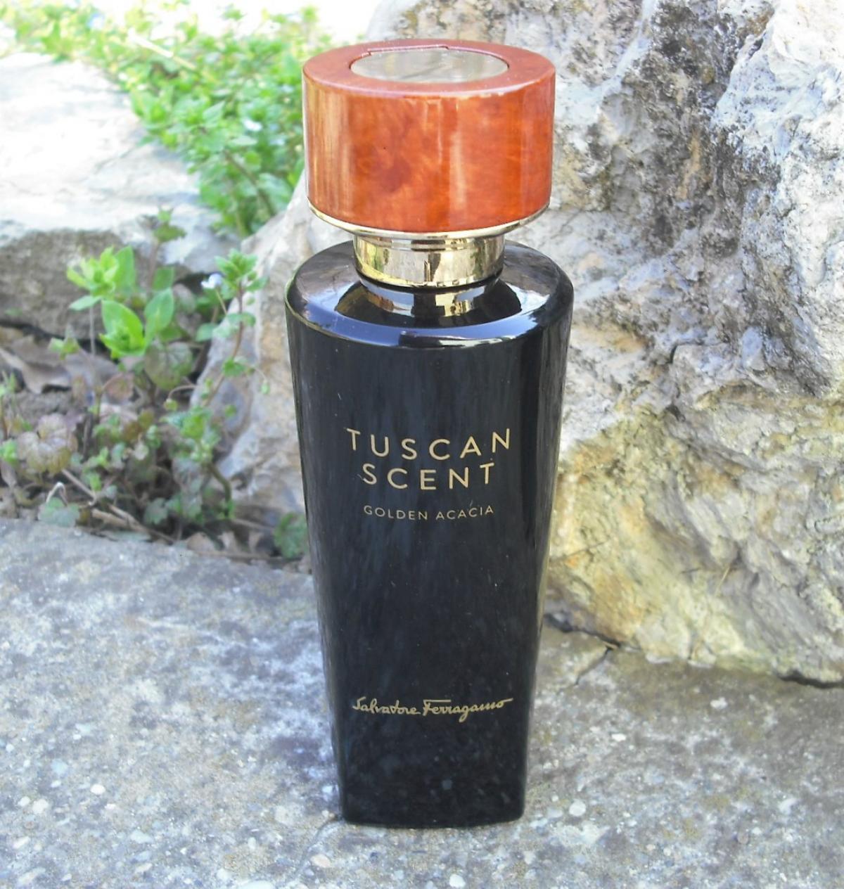 عطر ادکلن گلدن آکیشیا سالواتوره فراگامو - Golden Acacia Salvatore Ferragamo - بررسی، قیمت و خرید