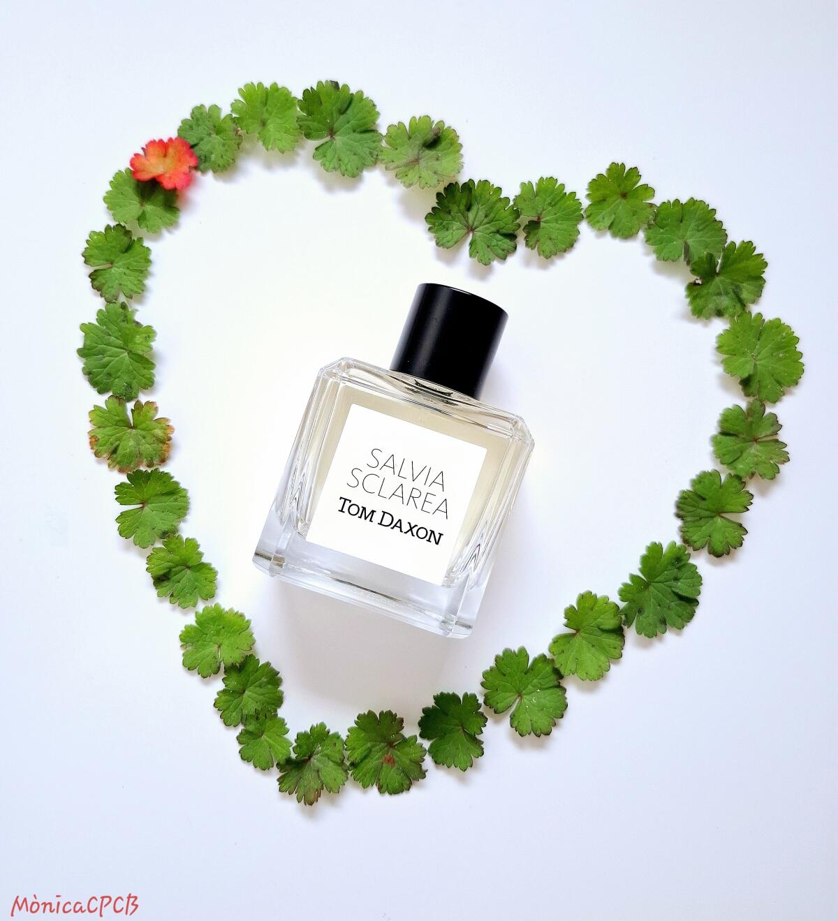 عطر ادکلن سالویا اسکالاریا تنداکسون - Salvia Sclarea Tom Daxon - بررسی، قیمت و خرید