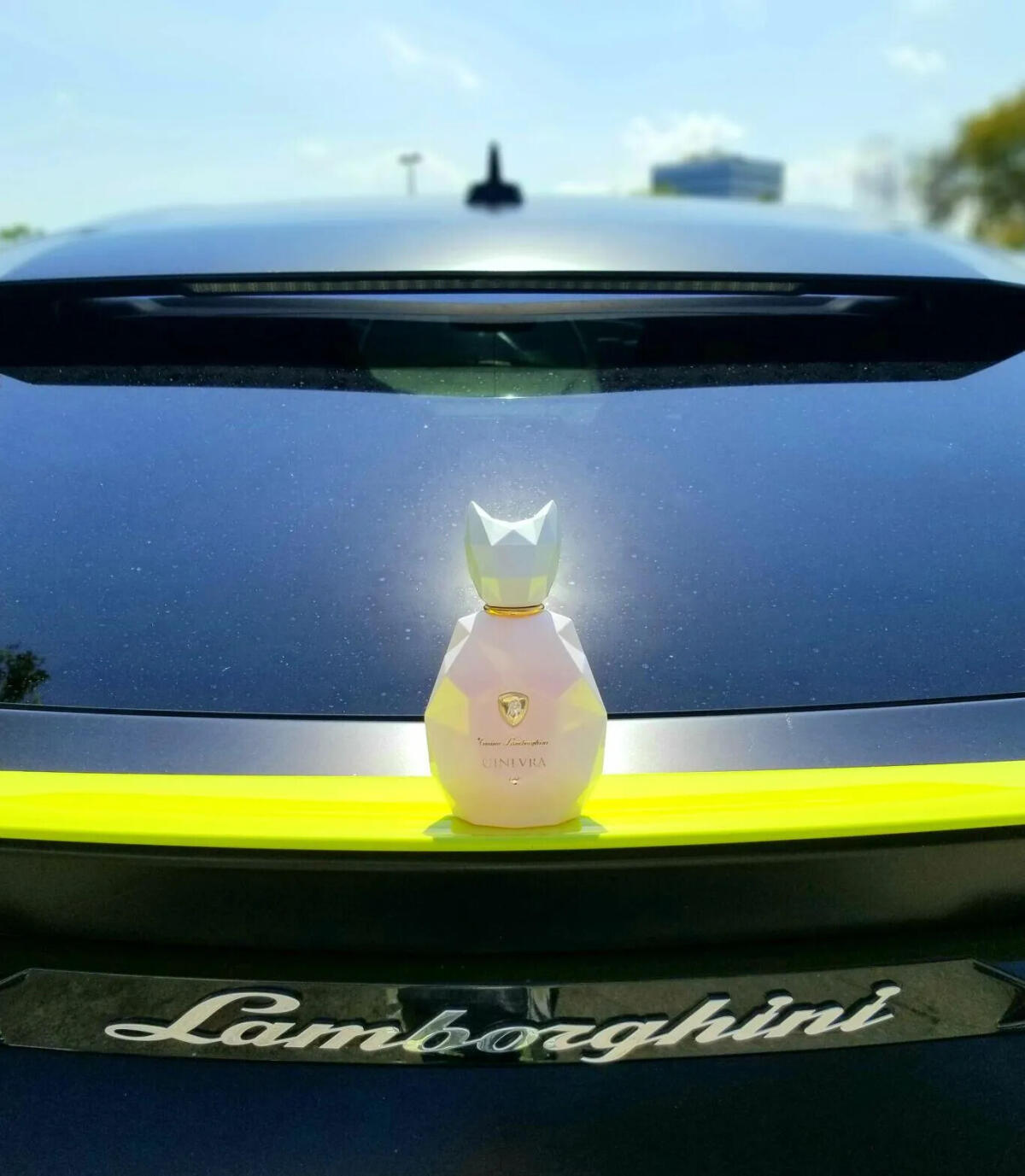 عطر ادکلن جینورا وایت انجل تونیلو لامبورگینی - Ginevra White Angel Tonino Lamborghini - بررسی، قیمت و خرید