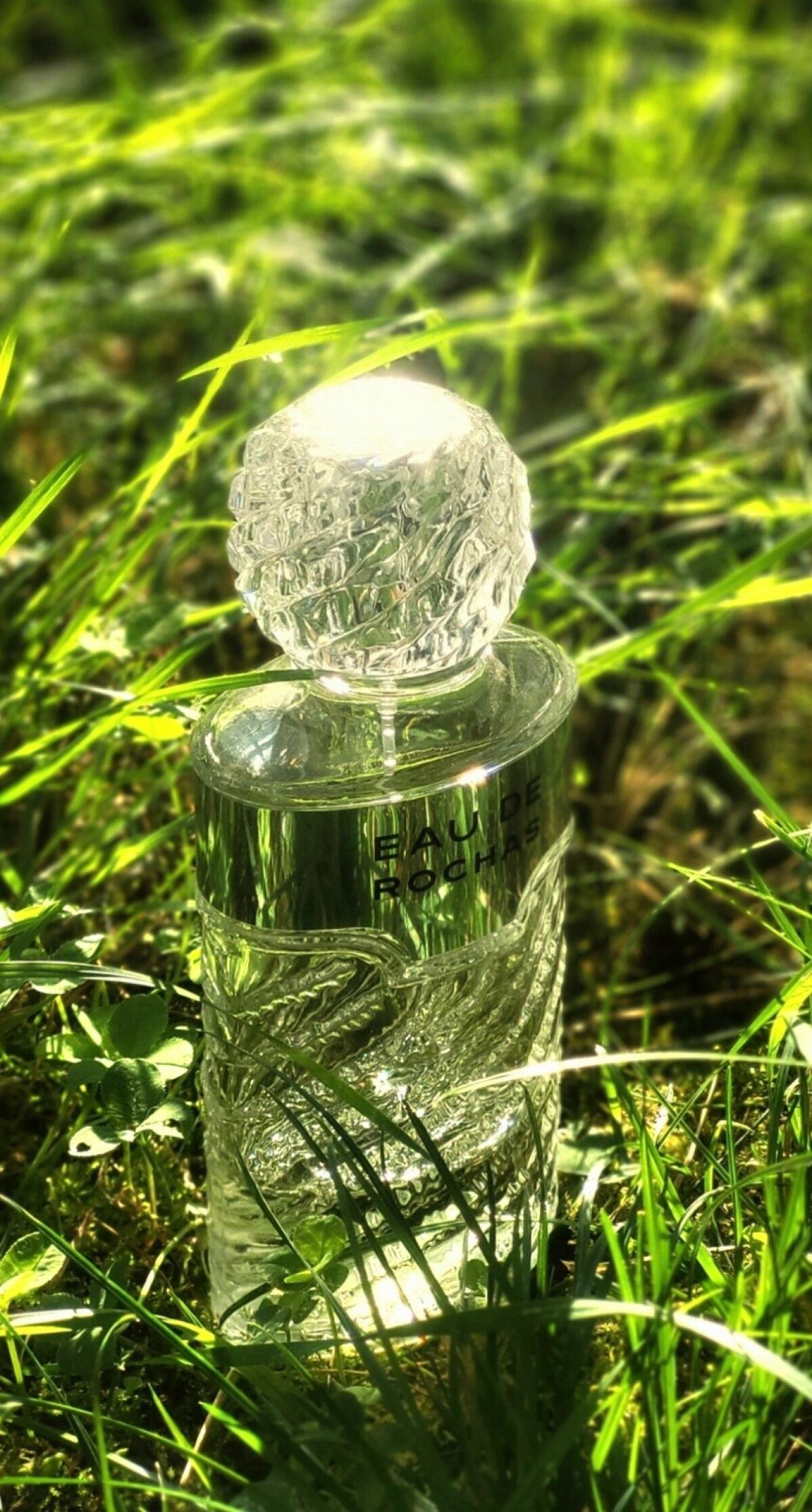 عطر ادکلن ا د رُشا روچاس - Eau de Rochas Rochas - بررسی، قیمت و خرید