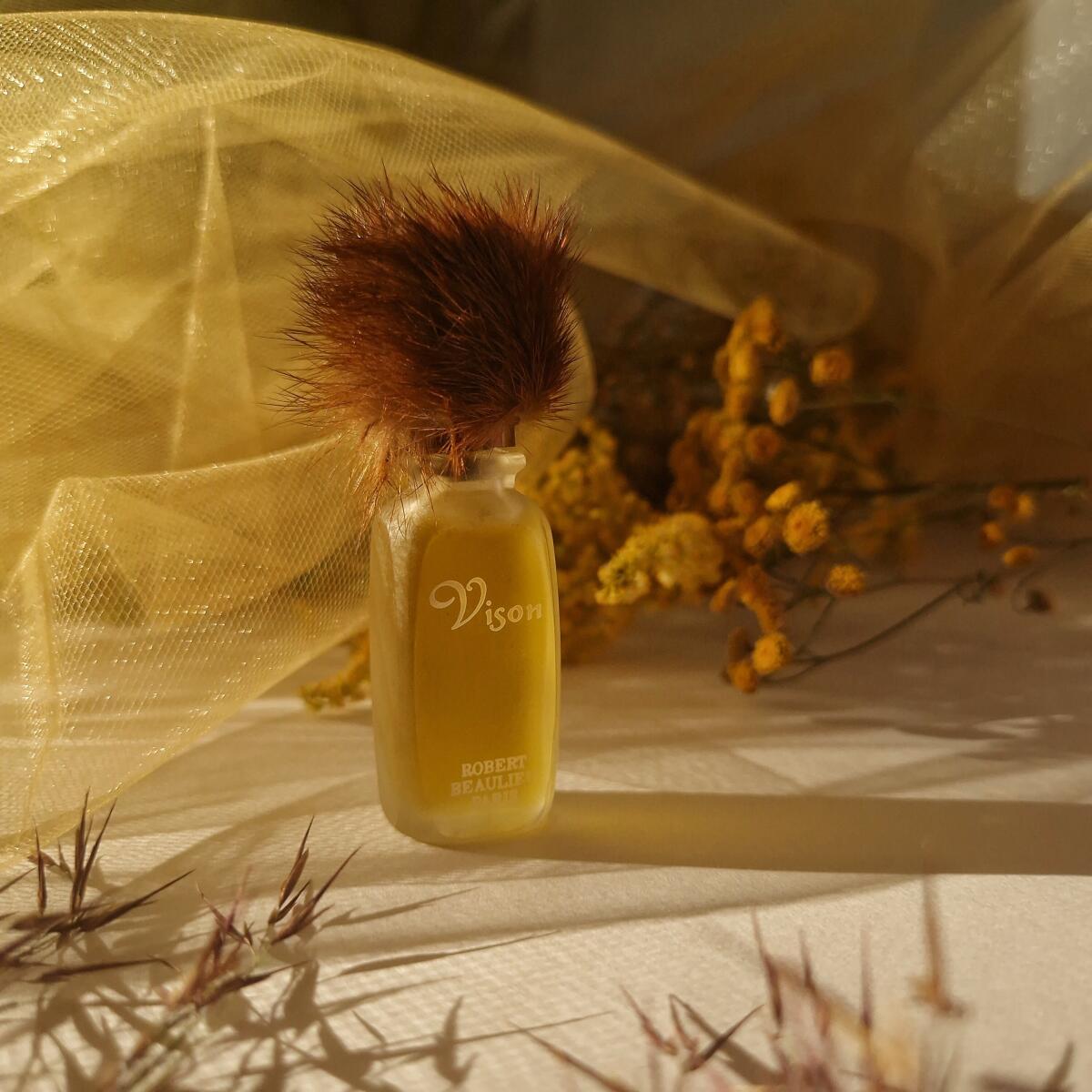 عطر ادکلن ویژن ادوتویلت رابرت بولیو - Vison EDT Robert Beaulieu - بررسی، قیمت و خرید