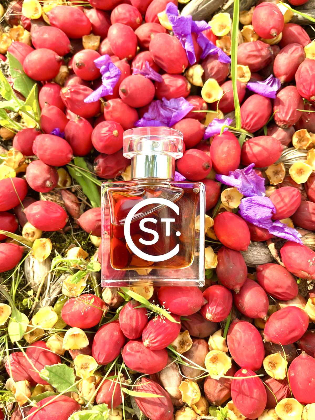 عطر ادکلن ایو سن کلر سنتز - Eve St. Clair Scents - بررسی، قیمت و خرید