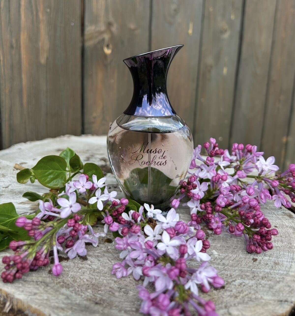 عطر ادکلن میوز دو روشا روچاس - Muse de Rochas Rochas - بررسی، قیمت و خرید