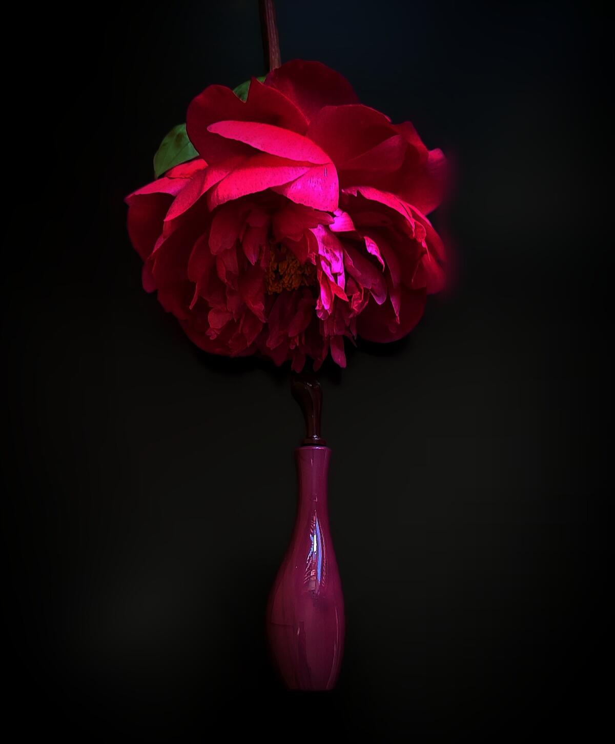 عطر ادکلن فمنیت دو بوا شیسیدو - Feminite du Bois Shiseido - بررسی، قیمت و خرید