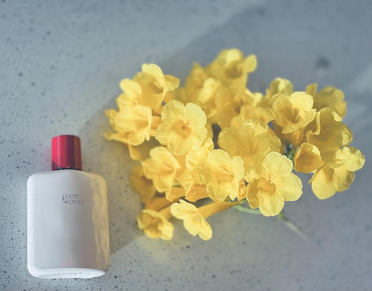 عطر ادکلن پرتور سا پو لژه پارفمان روبرتو گریکو - Porter Sa Peau L'Objet Parfumant Roberto Greco - بررسی، قیمت و خرید