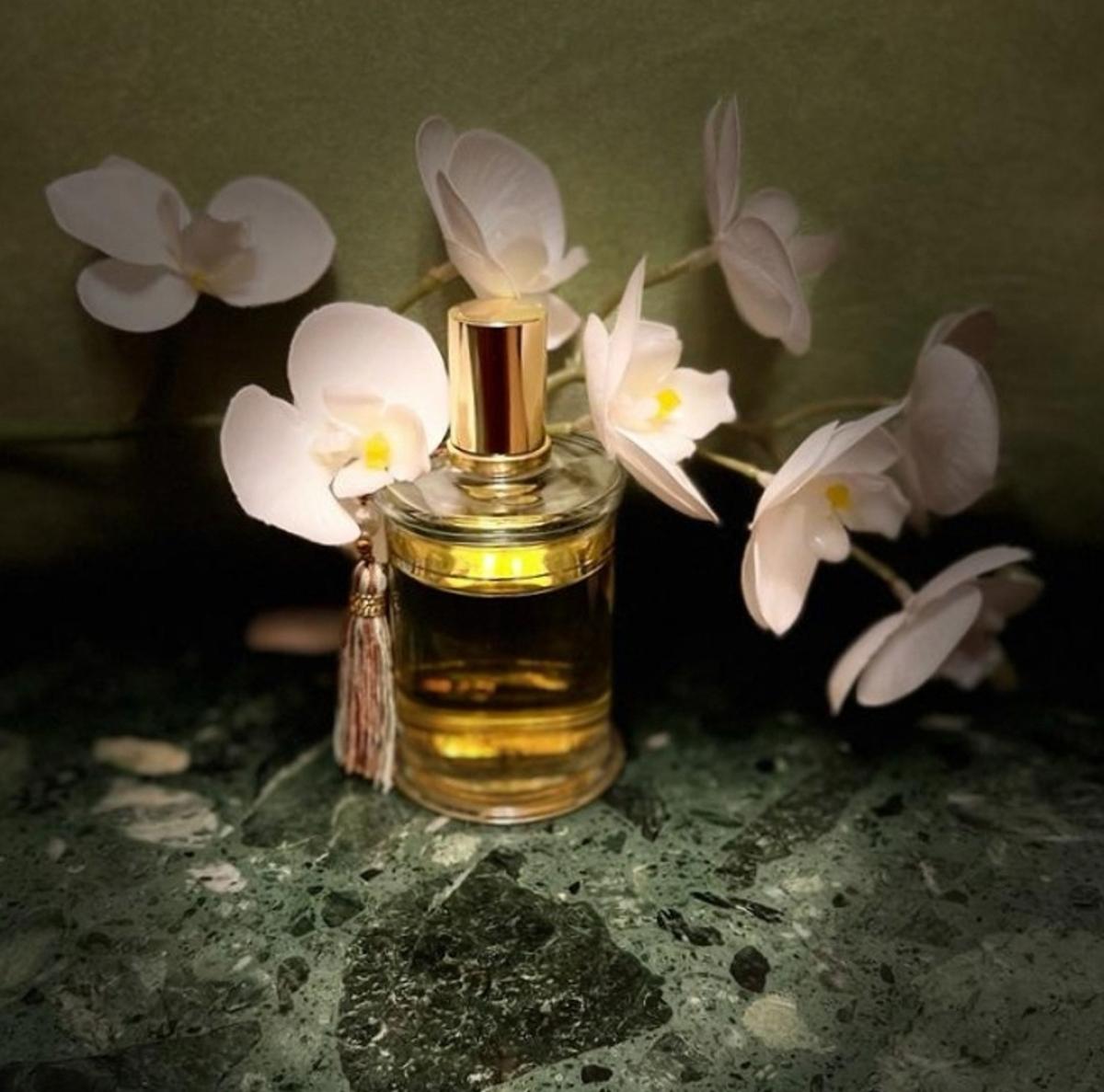 عطر ادکلن لا بِل هِلِن ام دی سی آی پرفیومز - La Belle Helene MDCI Parfums - بررسی، قیمت و خرید